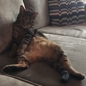 Meet your Posher, Julie